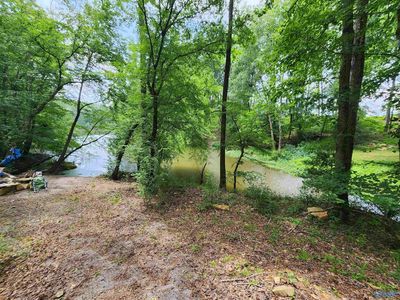 7 County Road 949, Crane Hill, AL, 35053