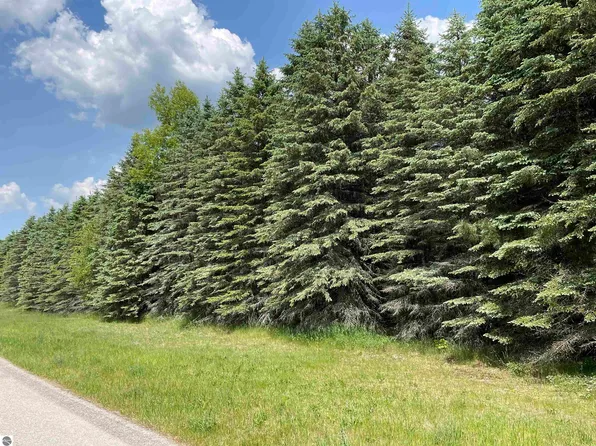 LOT 18 Ringneck Ln, Buckley, MI 49620