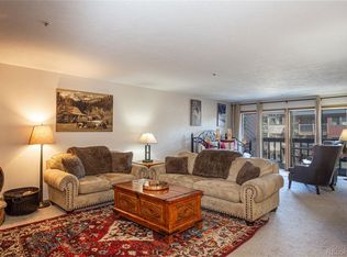 305 S Park Ave APT 205, Breckenridge, CO 80424