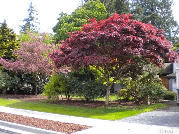 2nd image of 323 204th St SW