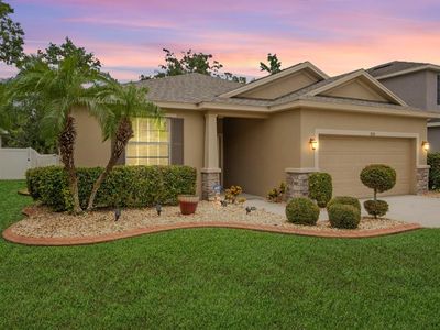 8518 Tidal Breeze Dr, Riverview, FL, 33569