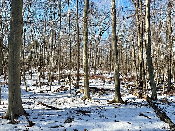 3rd image of 8 Maple Ridge Trail