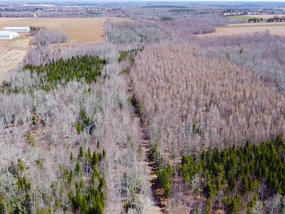 3rd image of Settlement Rd