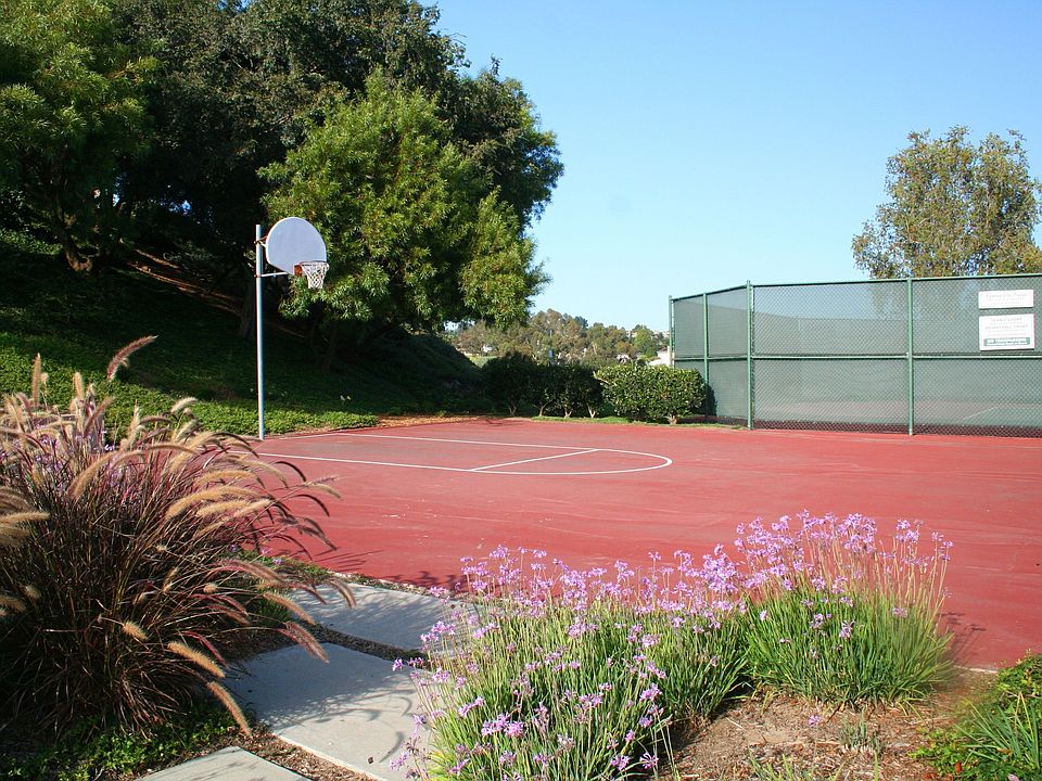 Community Basketball