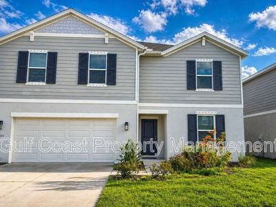 13031 Bluff Oak Way, Parrish, FL, 34219