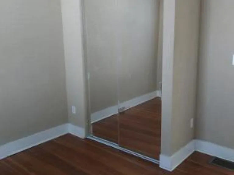 2nd Bedroom Closet and Plant Shelf