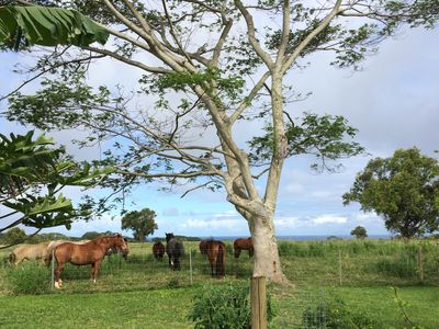 4224 Kanikele St UNIT A, Kilauea, HI, 96754