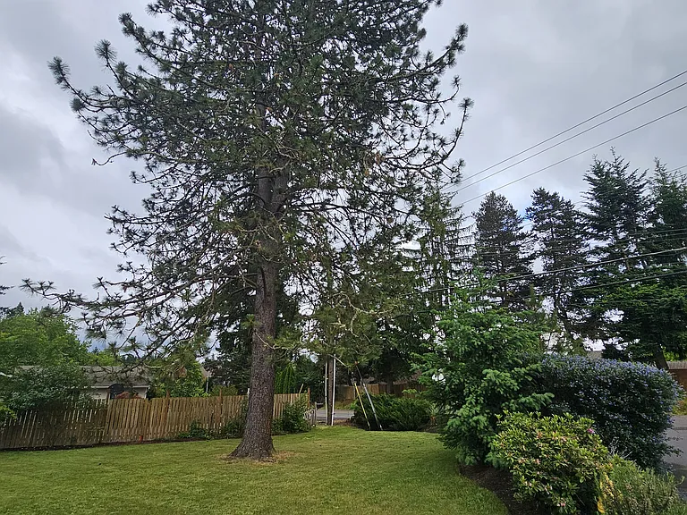 690 SW 130th Ave — Photo 41