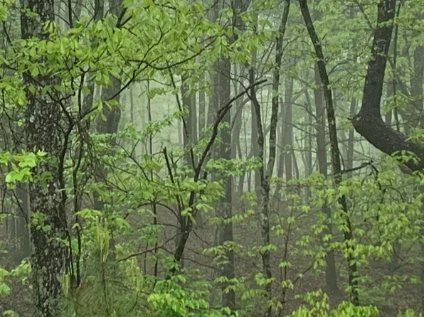 225 Prospectors Way #Rb-223, Jasper, TN 37347