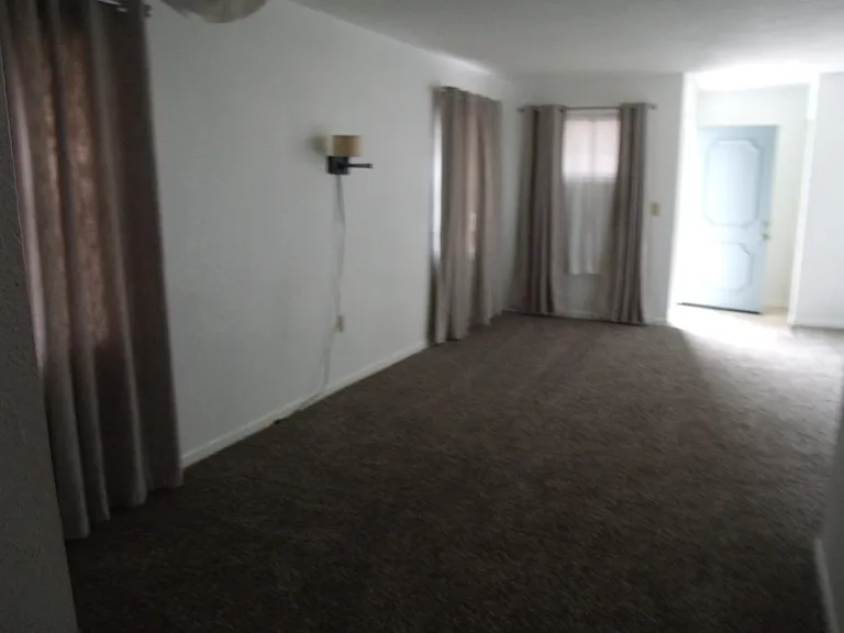 915 Shirley Ann Trl #915 — Photo 11