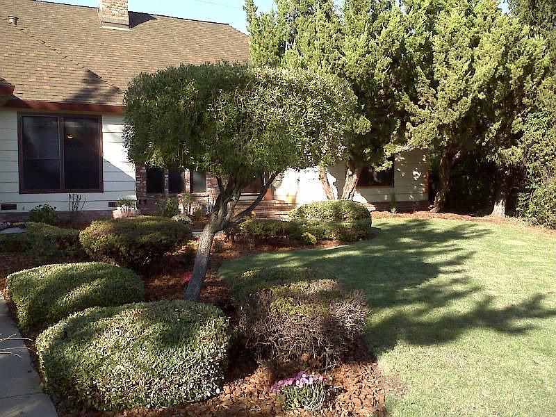 1st image of 154 Southcreek Cir