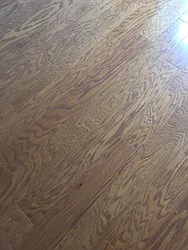 Rented by Chelsea Tower