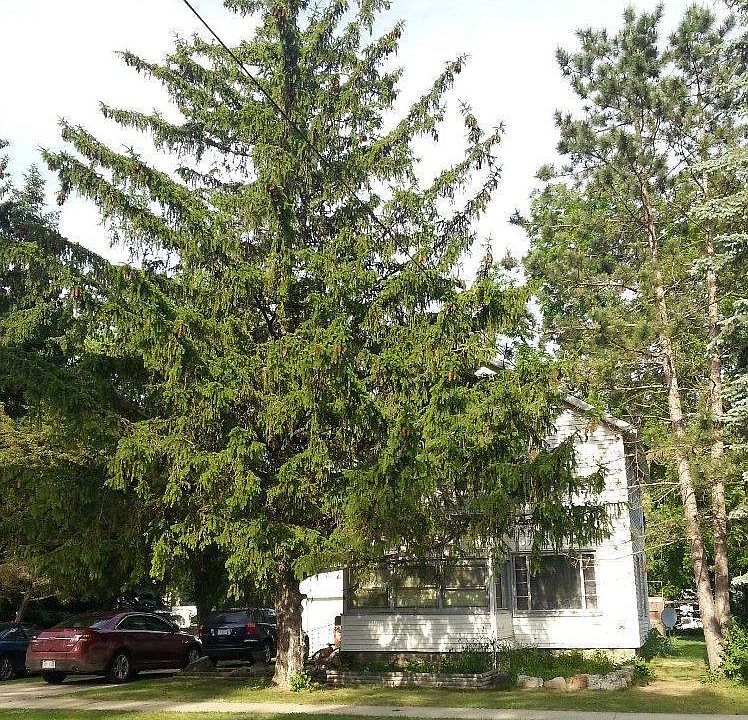 1st image of 1009 N Clinton Ave
