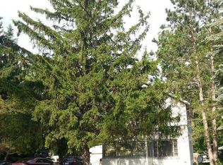 1009 N Clinton Ave, Saint Johns, MI 48879
