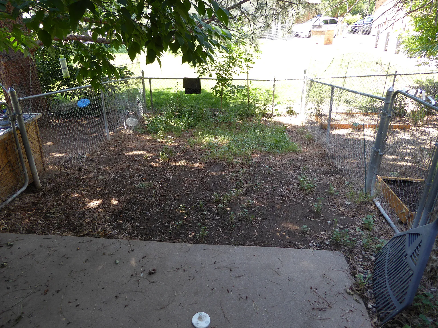 2 bed, 1.5 bath, $1,426 — Photo 3