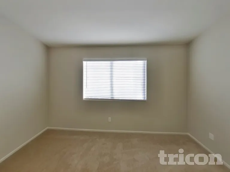 604 Lively Fiesta Way — Photo 8