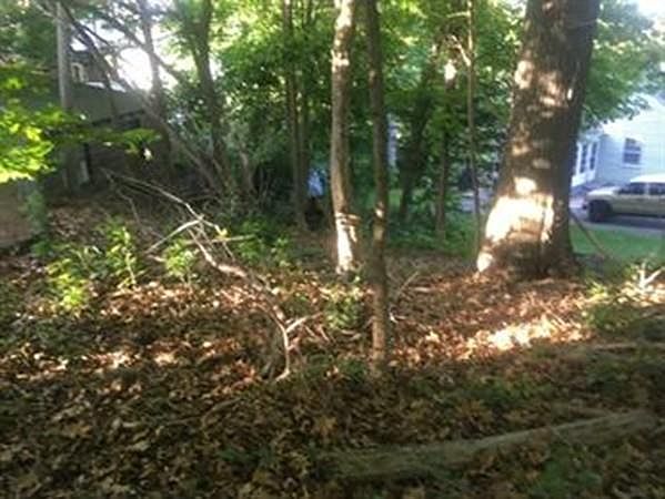 2nd image of 55 Hillock St