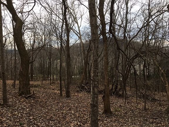 3rd image of 1012 Vaughn Crest Dr