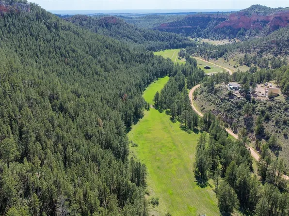 10227 Red Bird Canyon Rd, Custer, SD 57730