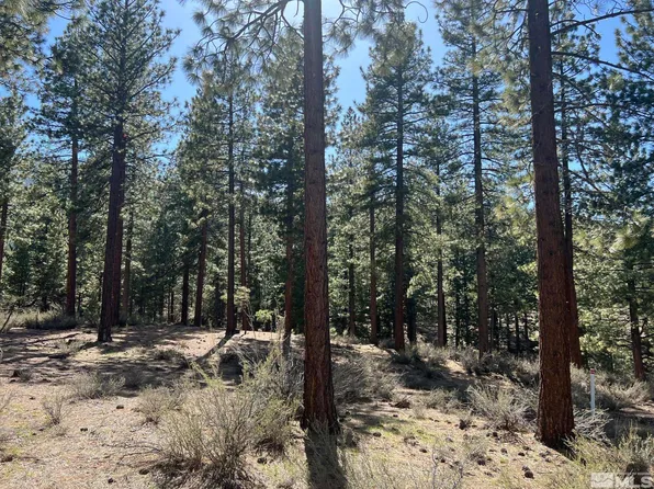140 Walton Toll Rd, Carson City, NV 89705