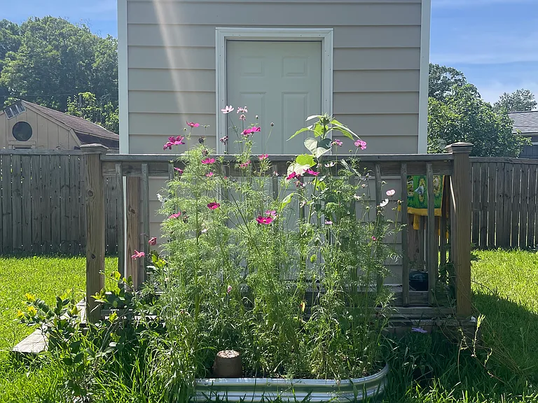 1731 Wasp St — Photo 13
