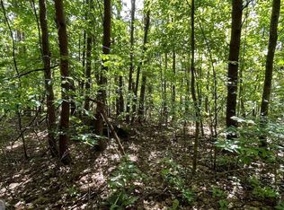 Ll 61 Bobbie Ln, Young Harris, GA 30582