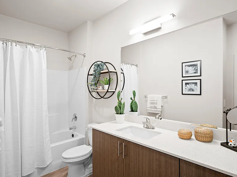 Modern Bathroom with Tub and Storage