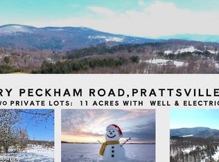 167 Harry Peckham Road, Prattsville, NY 12468