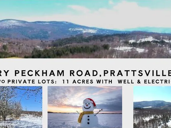 167 Harry Peckham Road, Prattsville, NY 12468