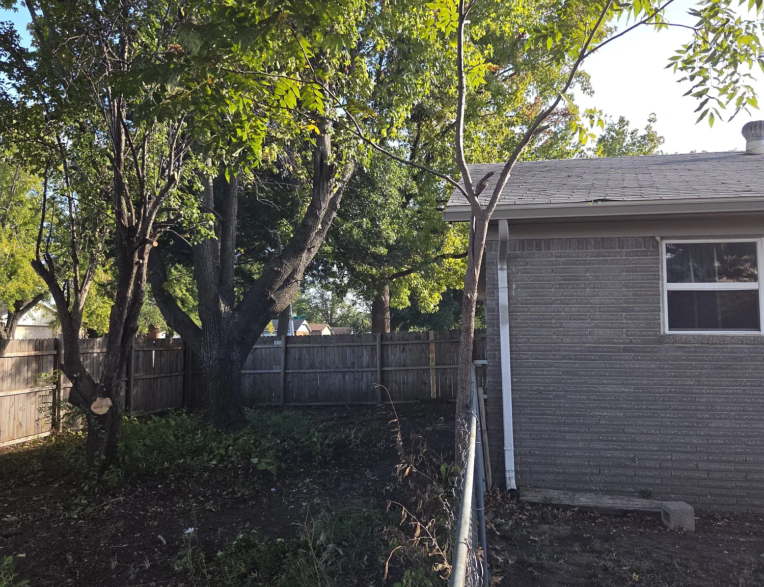 3 bed, 1.5 bath, 1367 sqft, $1,500 — Photo 3