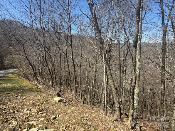 53 & 55 Running Cedar Ln, Mars Hill, NC 28754