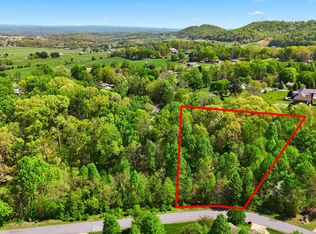 284 Holland View Dr, Jonesborough, TN 37659