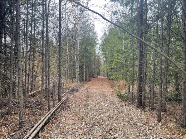 14196 E Grand Lake Rd, Presque Isle, MI 49777