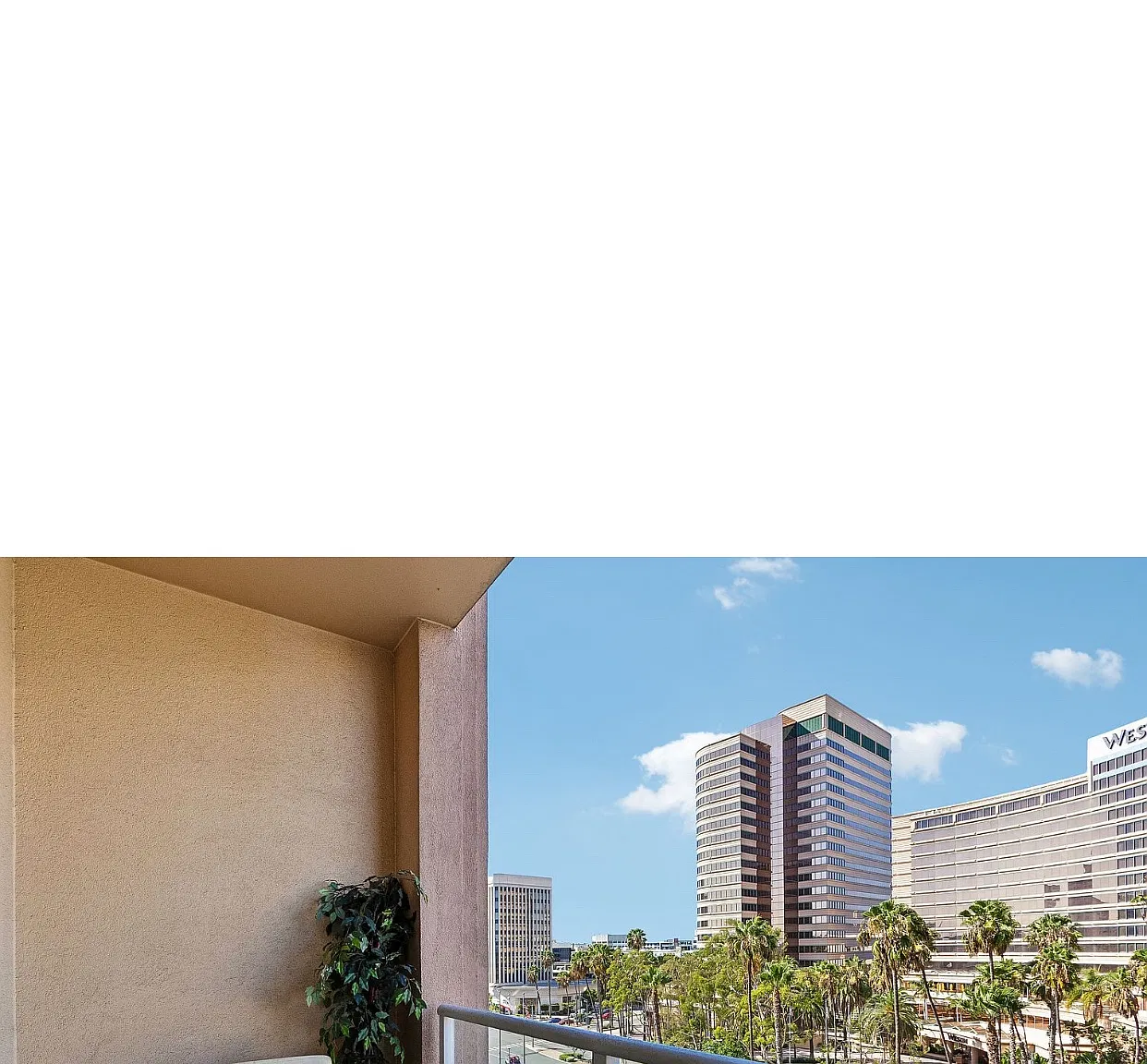 1 bed, 590 sqft, $3,495 — Photo 4