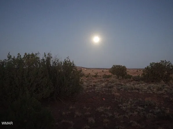 87 County Road 5311, Concho, AZ 85924