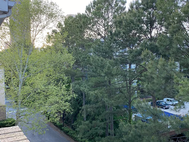 220 Renaissance Pkwy NE #1312 — Photo 38