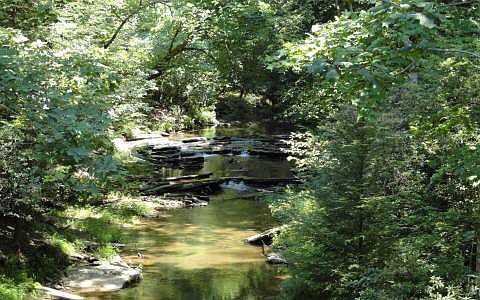 1st image of 33 Mountain Creek Dr