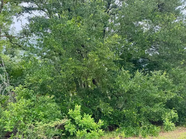 LOT 7 NW Bur Oak Pl, Jennings, FL 32053