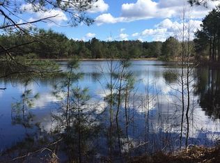 963 McDougald Circle, Cheraw, SC 29520