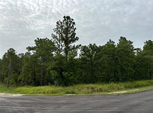 LOT 1 Penn State Rd #10, Brooksville, FL 34614