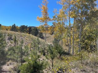 356 Bolster Dr, Hartsel, CO 80449