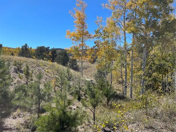 356 Bolster Dr, Hartsel, CO 80449