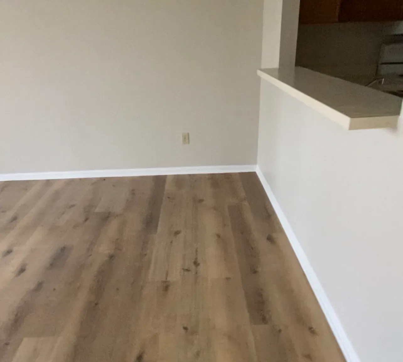 3 bed, 1000 sqft, $1,350 — Photo 3