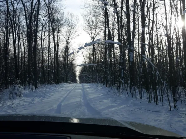 Camp Domino Trl, Hillman, MI 49746