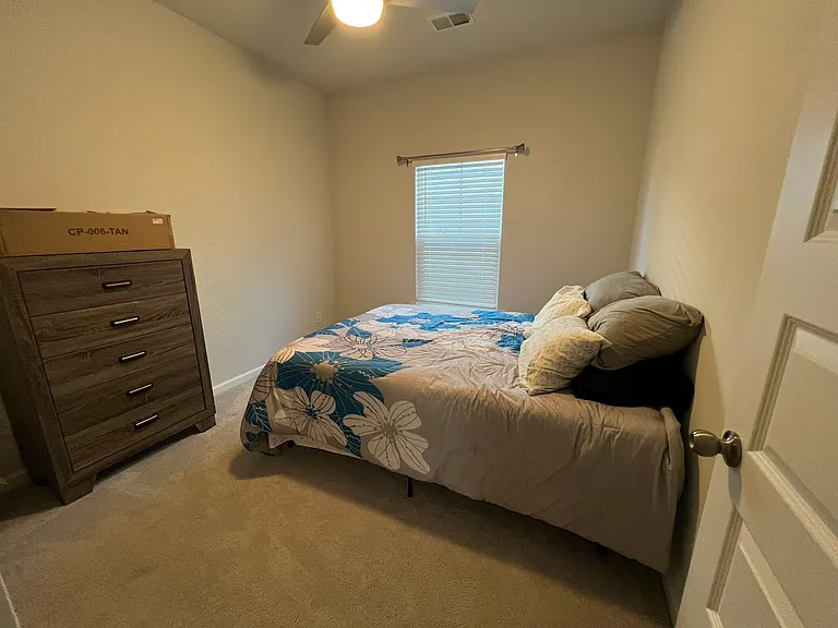 221 Pink Azalea St — Photo 58