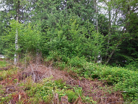 Nice sloped lot