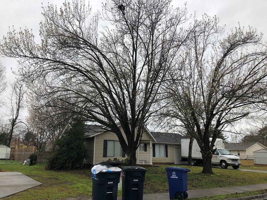 1st image of 802 Deblea Ct