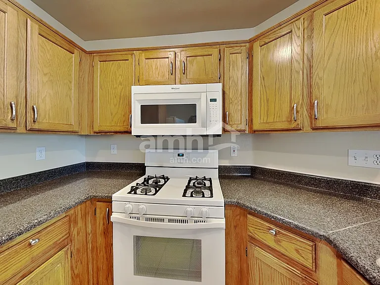 3912 Camryn Holly St — Photo 3