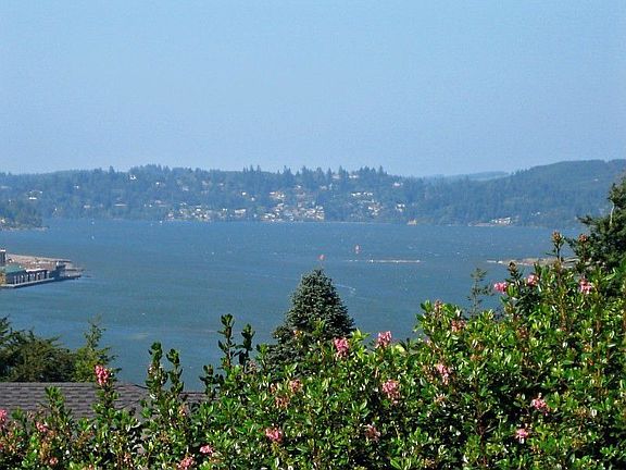 Bay Views 