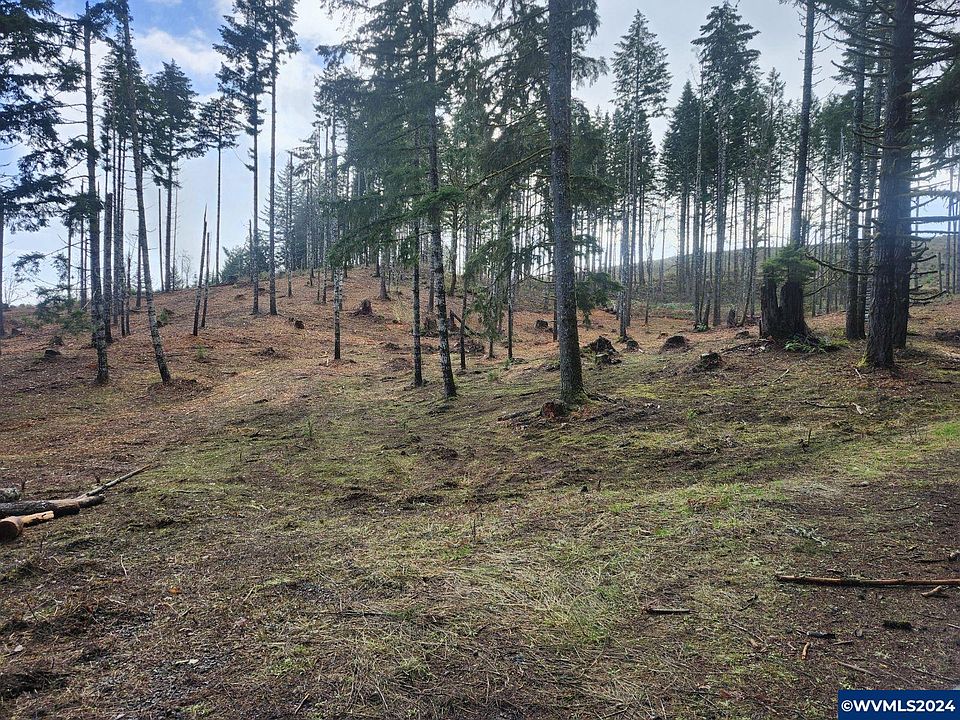 2nd image of Old Peak Rd